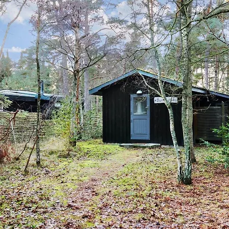 別荘 3633-nexo-bugten-10 *